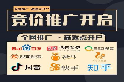 抖音信息流代理在电商行业的应用案例分析